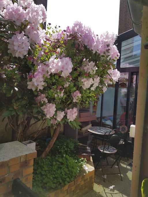 Holiday home L'estivale Maison Cosy Avec Veranda Et Climatisation *